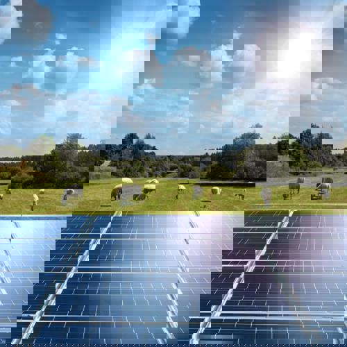 welsh_solar_farm.jpg